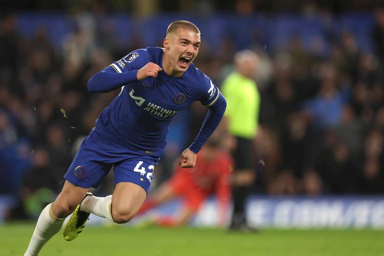 新鹏城队将于11月14日举办球迷开放日活动，今天14点开启报名